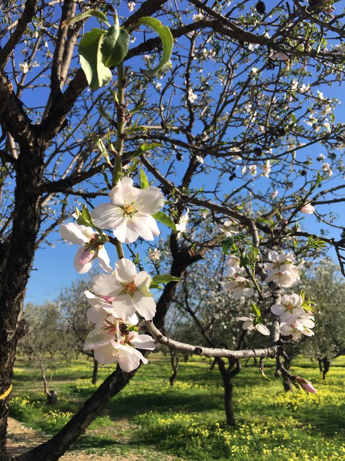 Alludo Aparthotel B&B Agrigento Bagian luar foto
